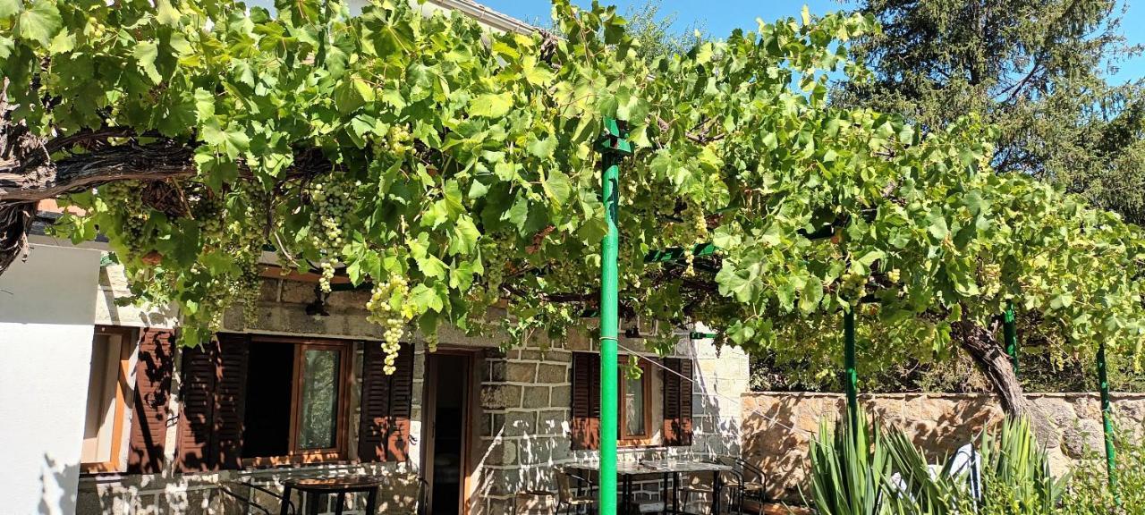 Hostal La Parra de Pepa Cercedilla Exterior foto